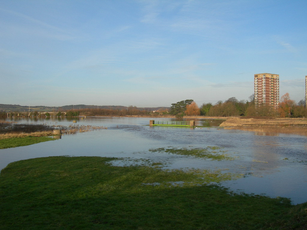 An image of a flooded area of grass