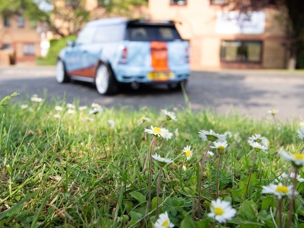An image of wild flowers and grass in front of a vehicle