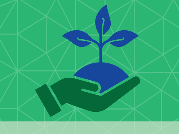 An icon of a hand holding a plant